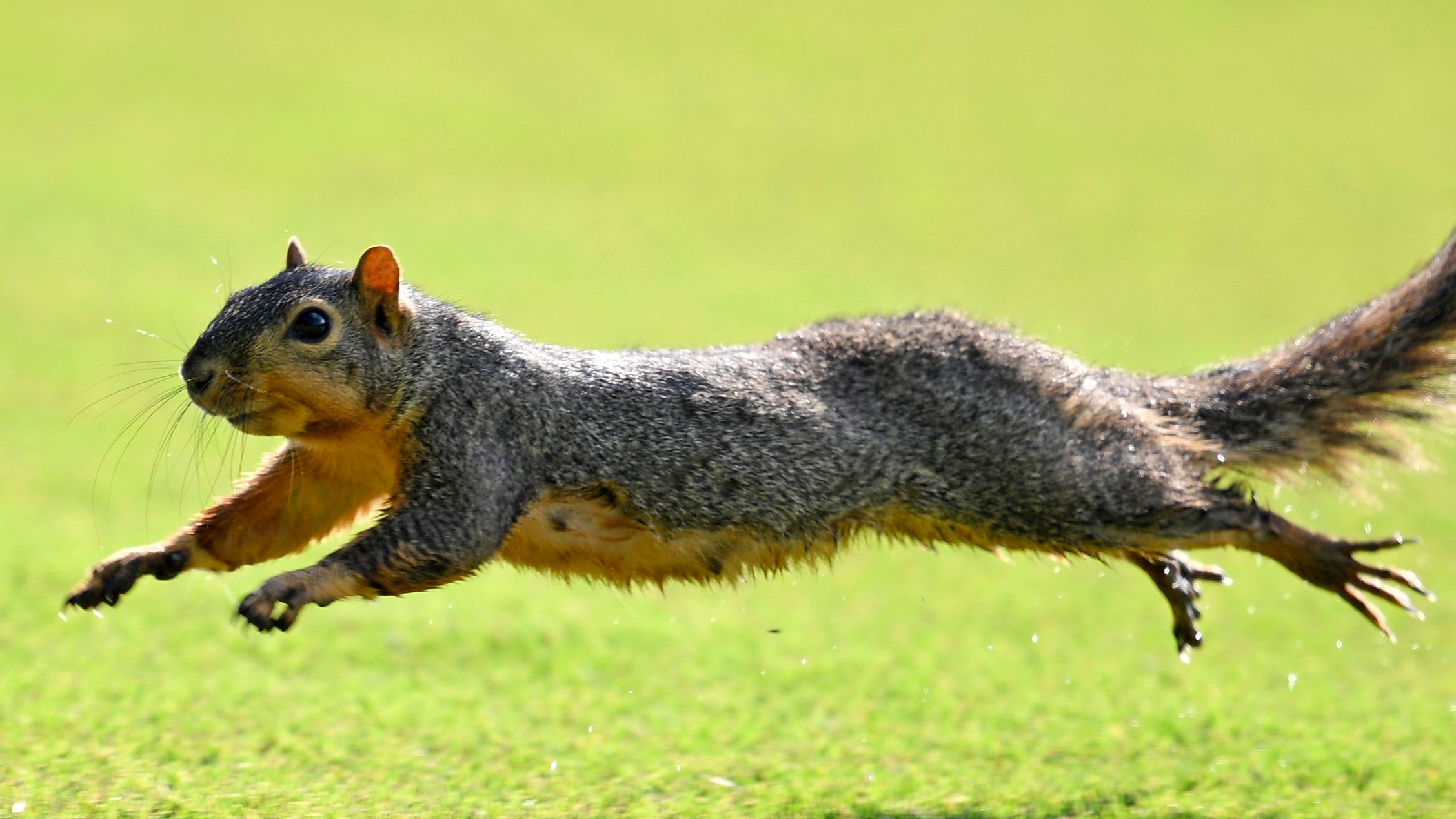 Walmart NW Arkansas Championship presented by P&G 2025 - Round One