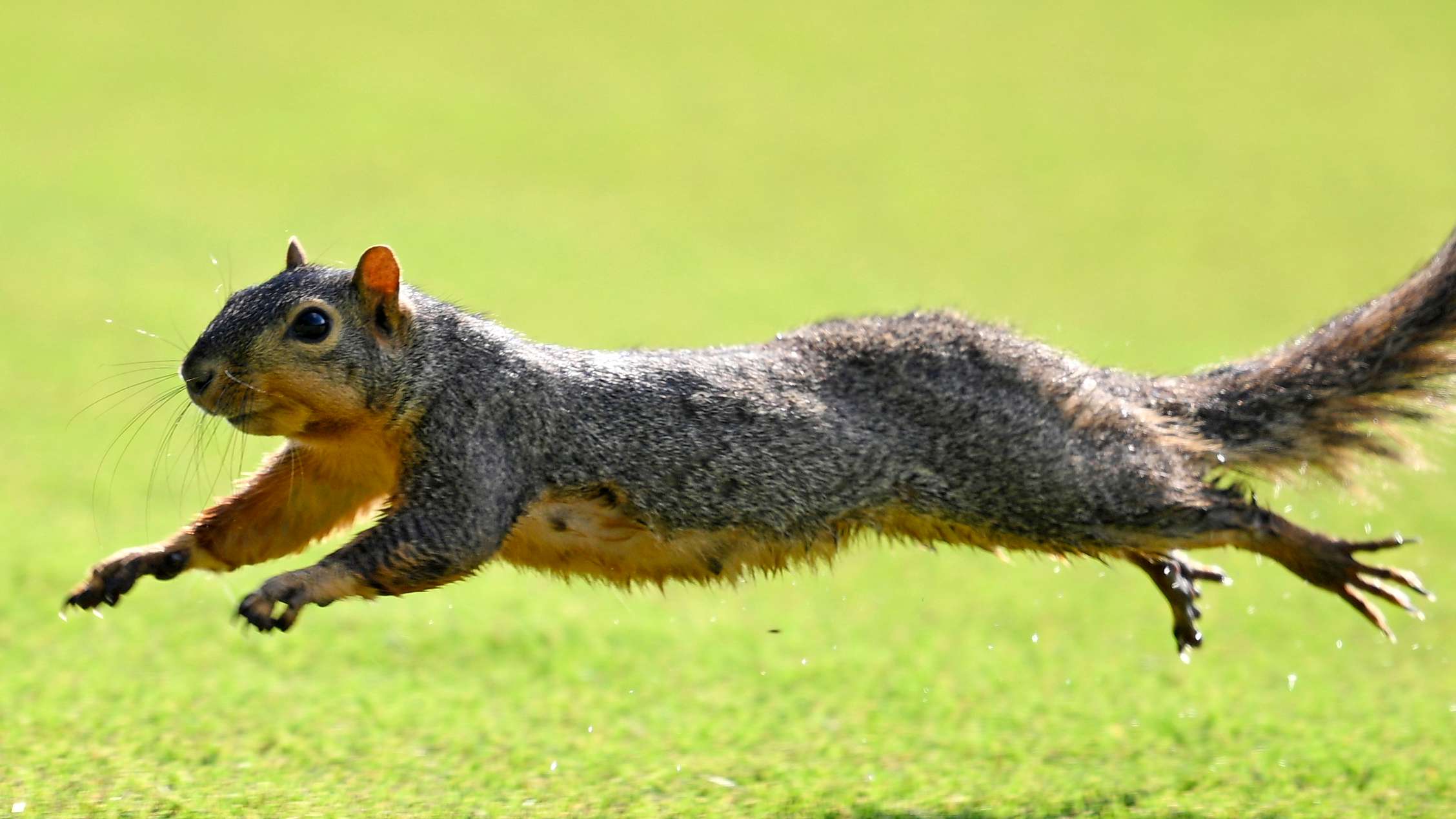 Walmart NW Arkansas Championship presented by P&G 2025 - Round One