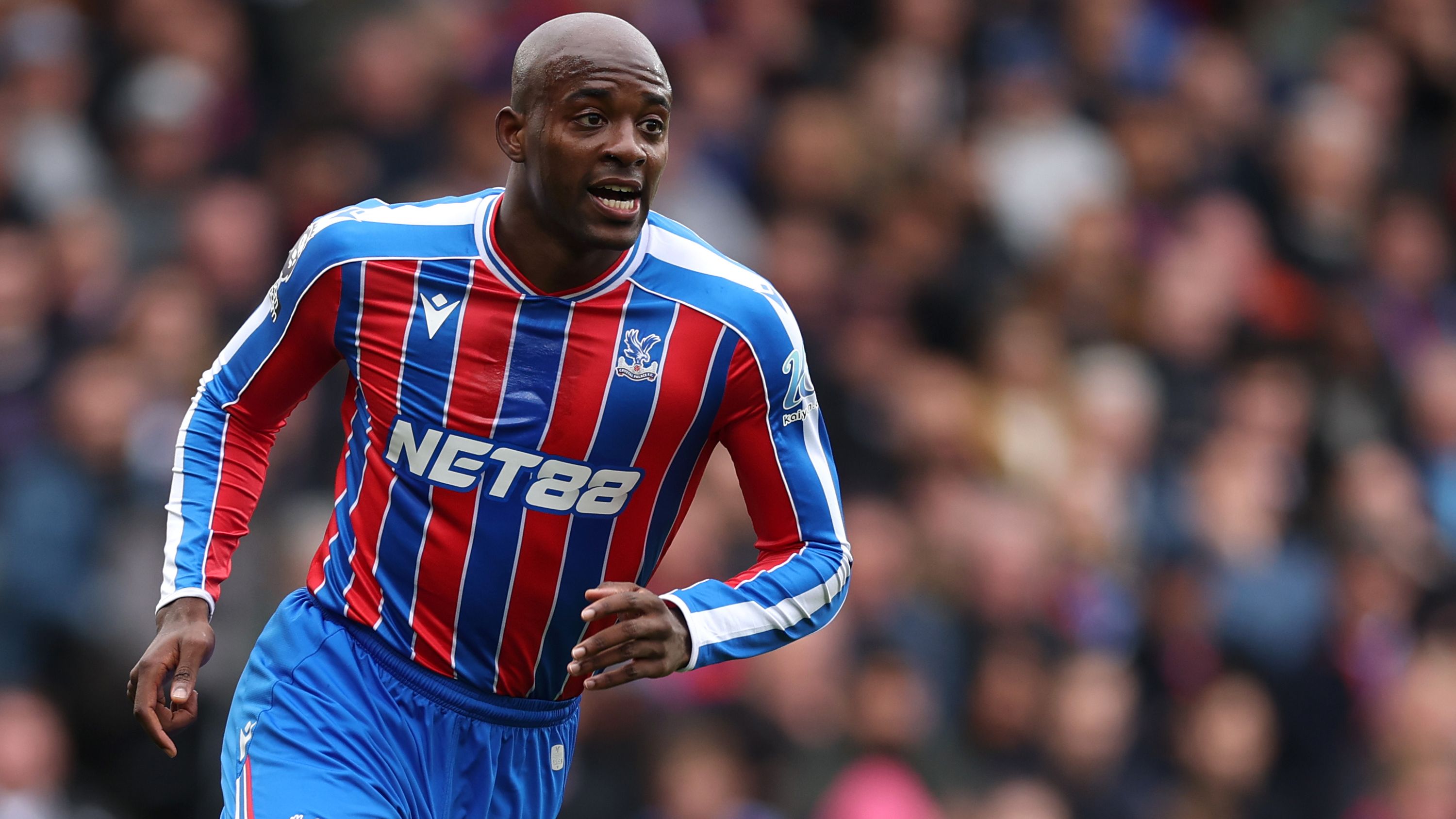 Crystal Palace v Bournemouth - Premier League