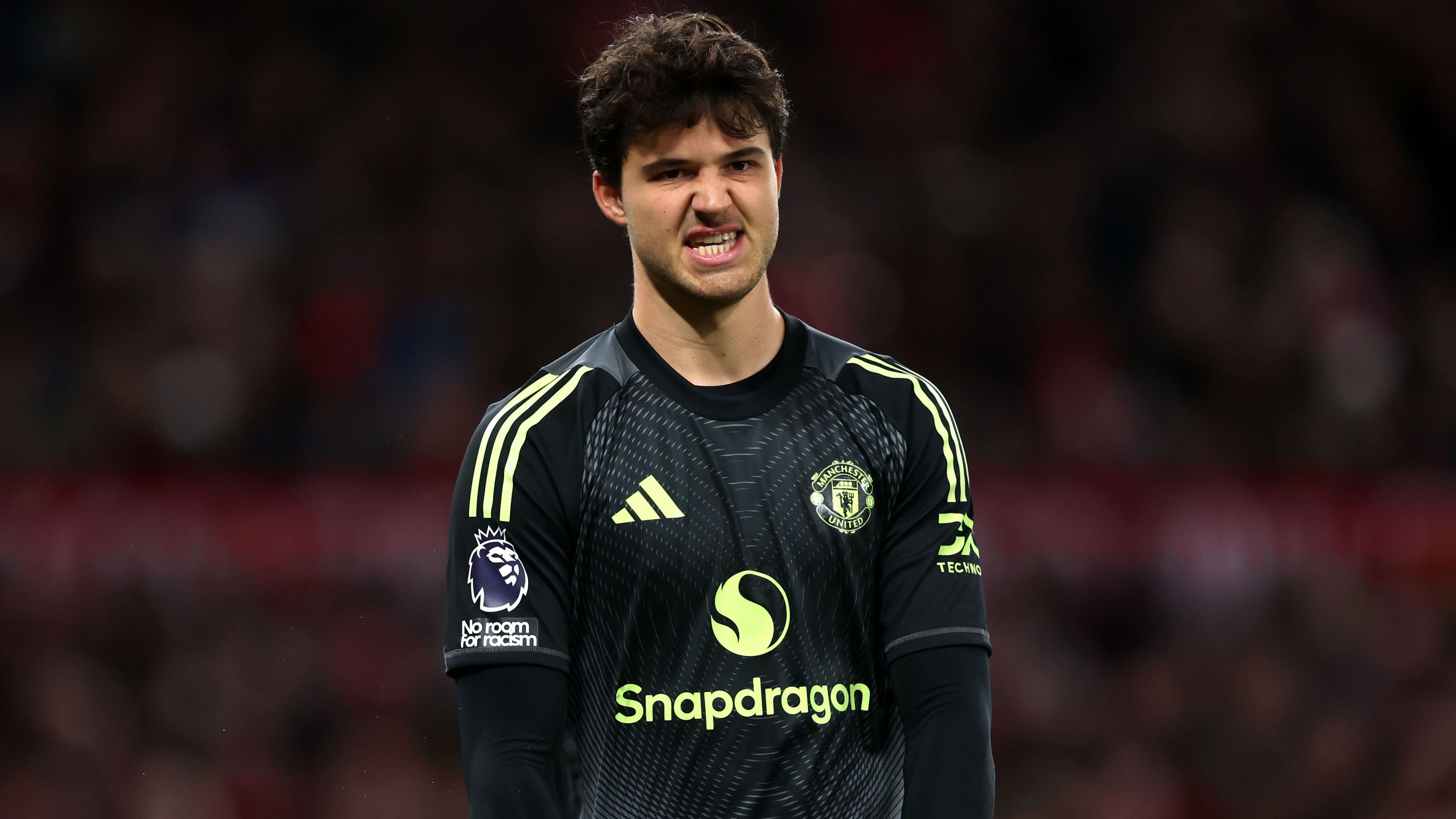 Manchester United v Brighton & Hove Albion - Premier League