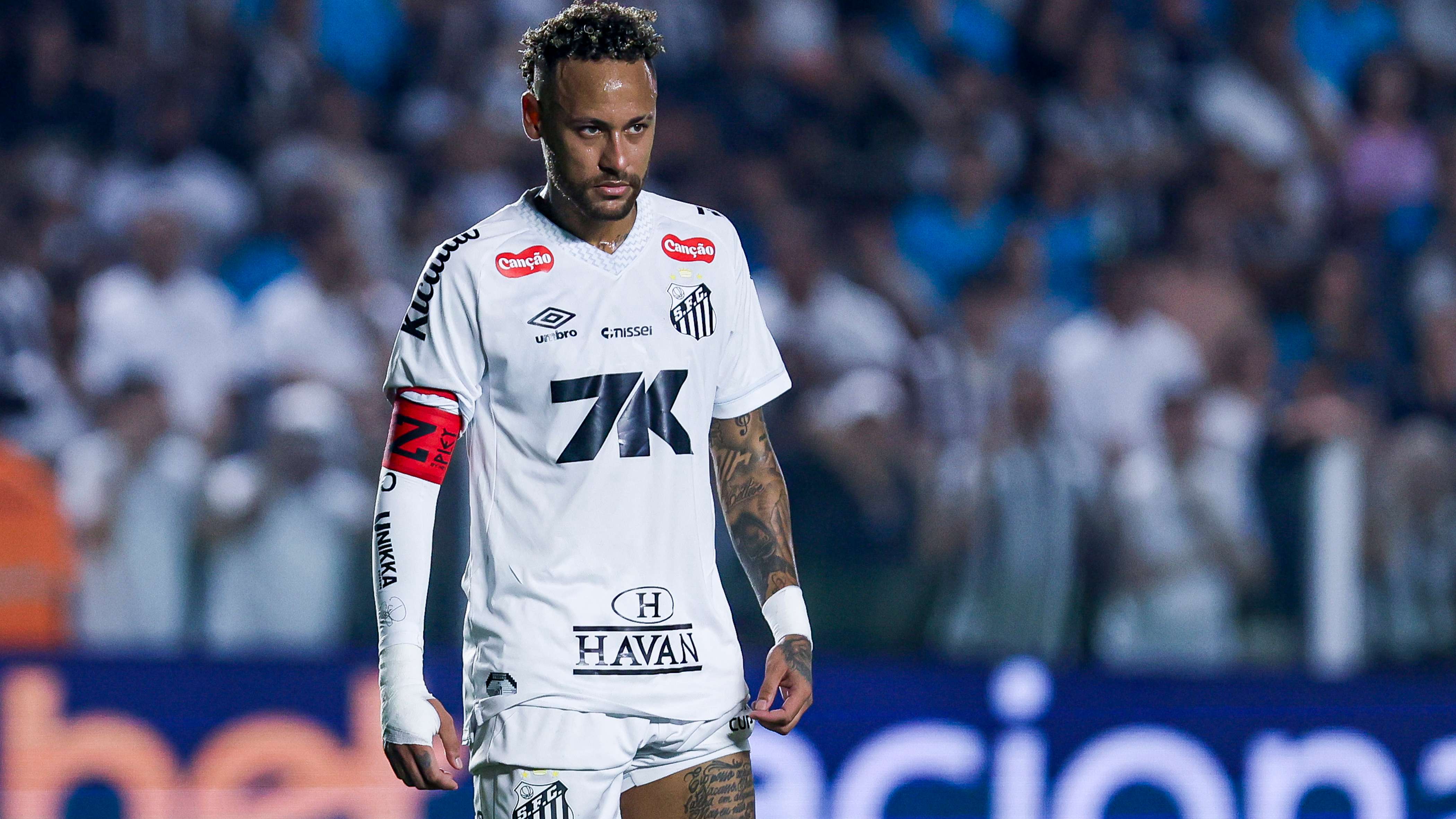 Santos v Mirassol - Brasileirao 2025