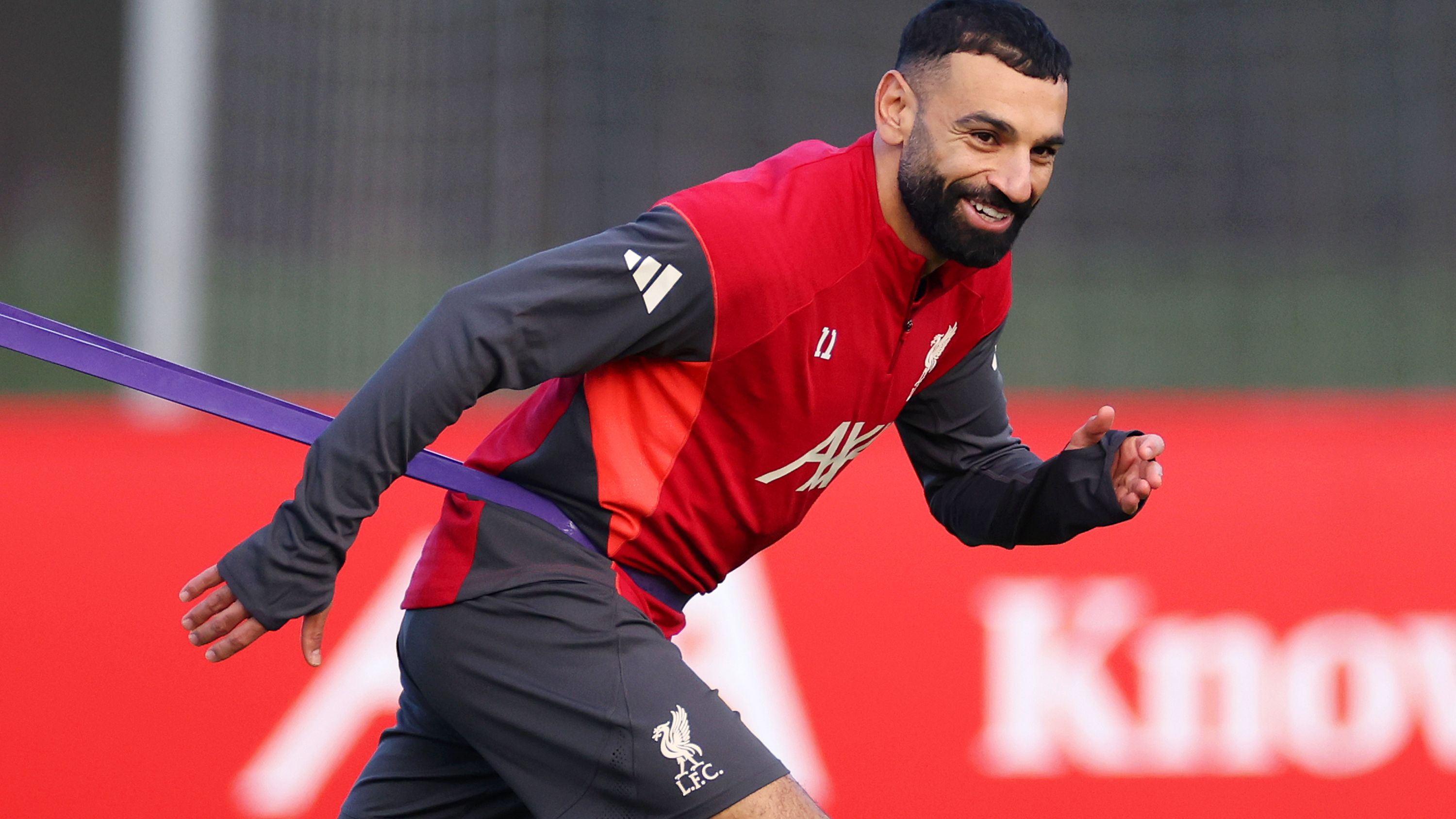 القرار الصحيح