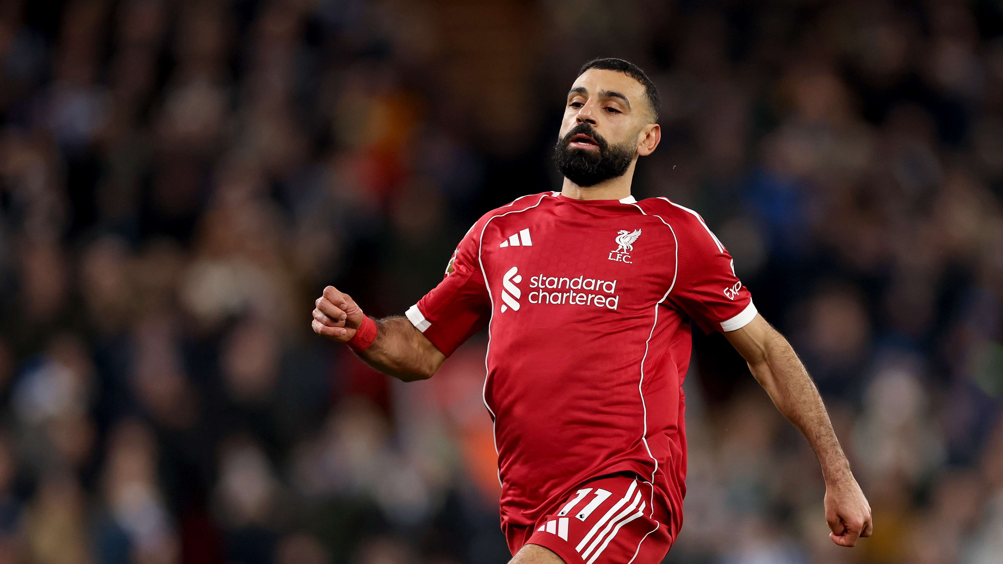 Liverpool v Brighton & Hove Albion - Premier League