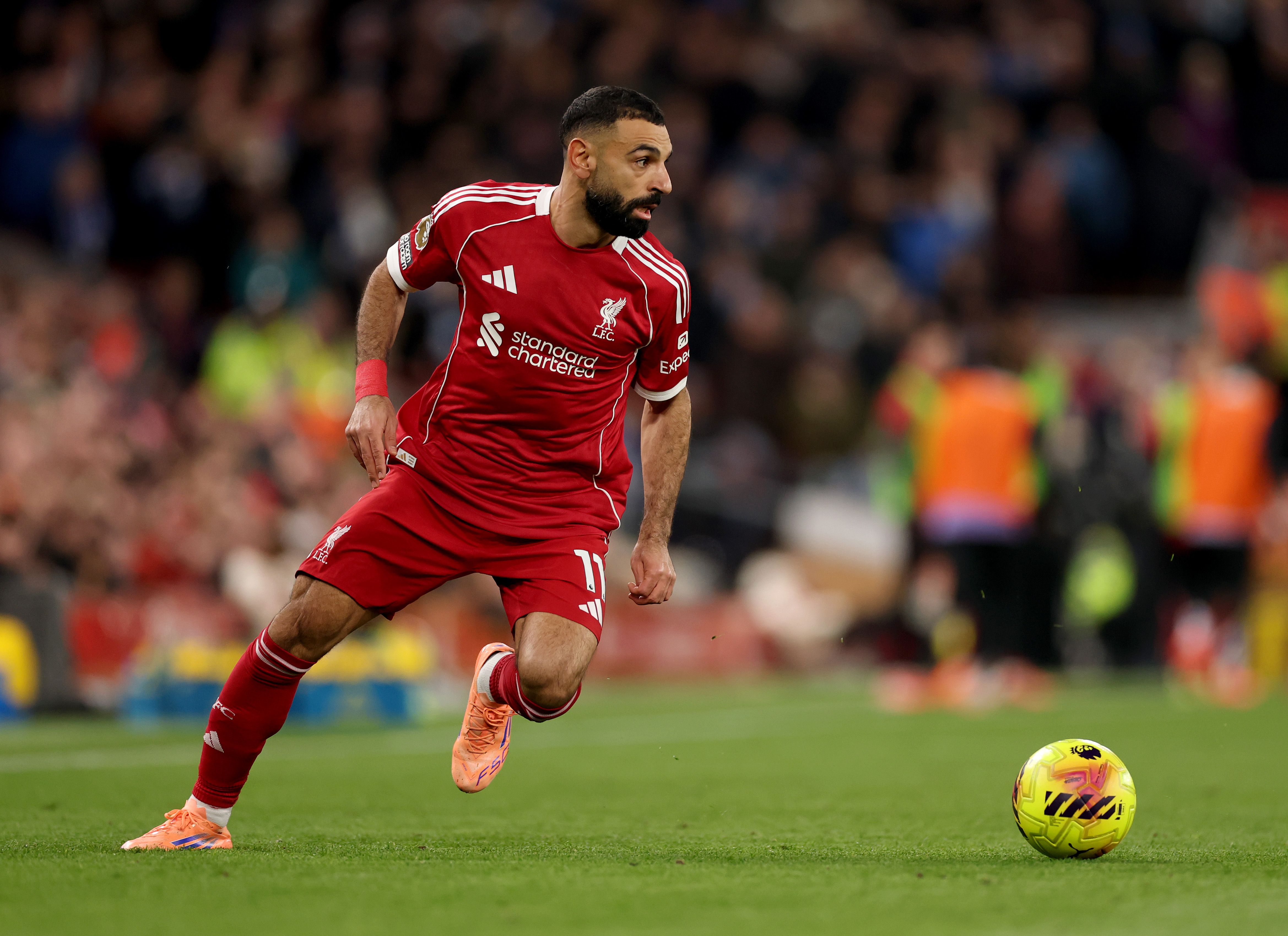 Liverpool v Brighton & Hove Albion - Premier League