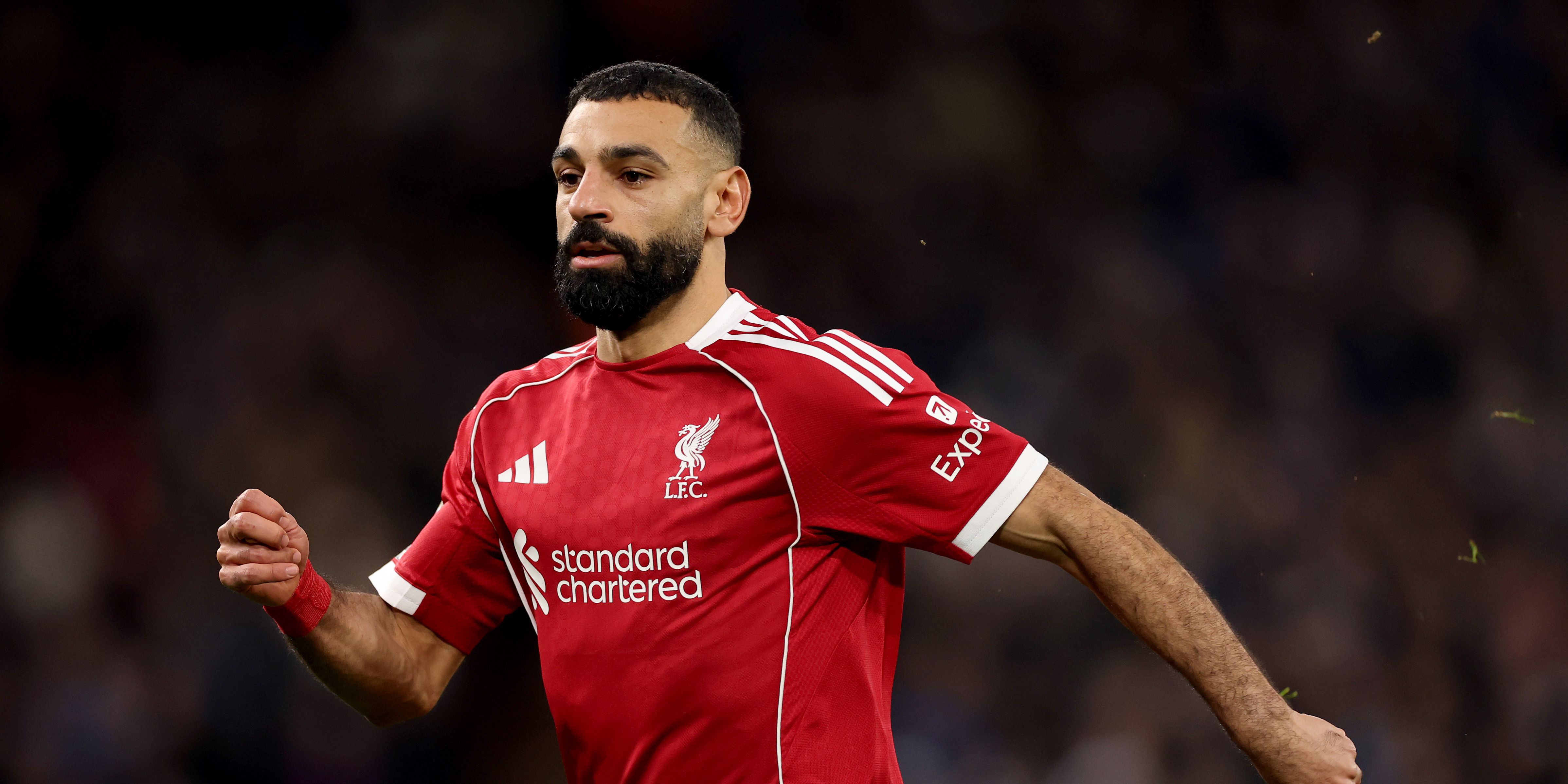 Liverpool v Brighton & Hove Albion - Premier League