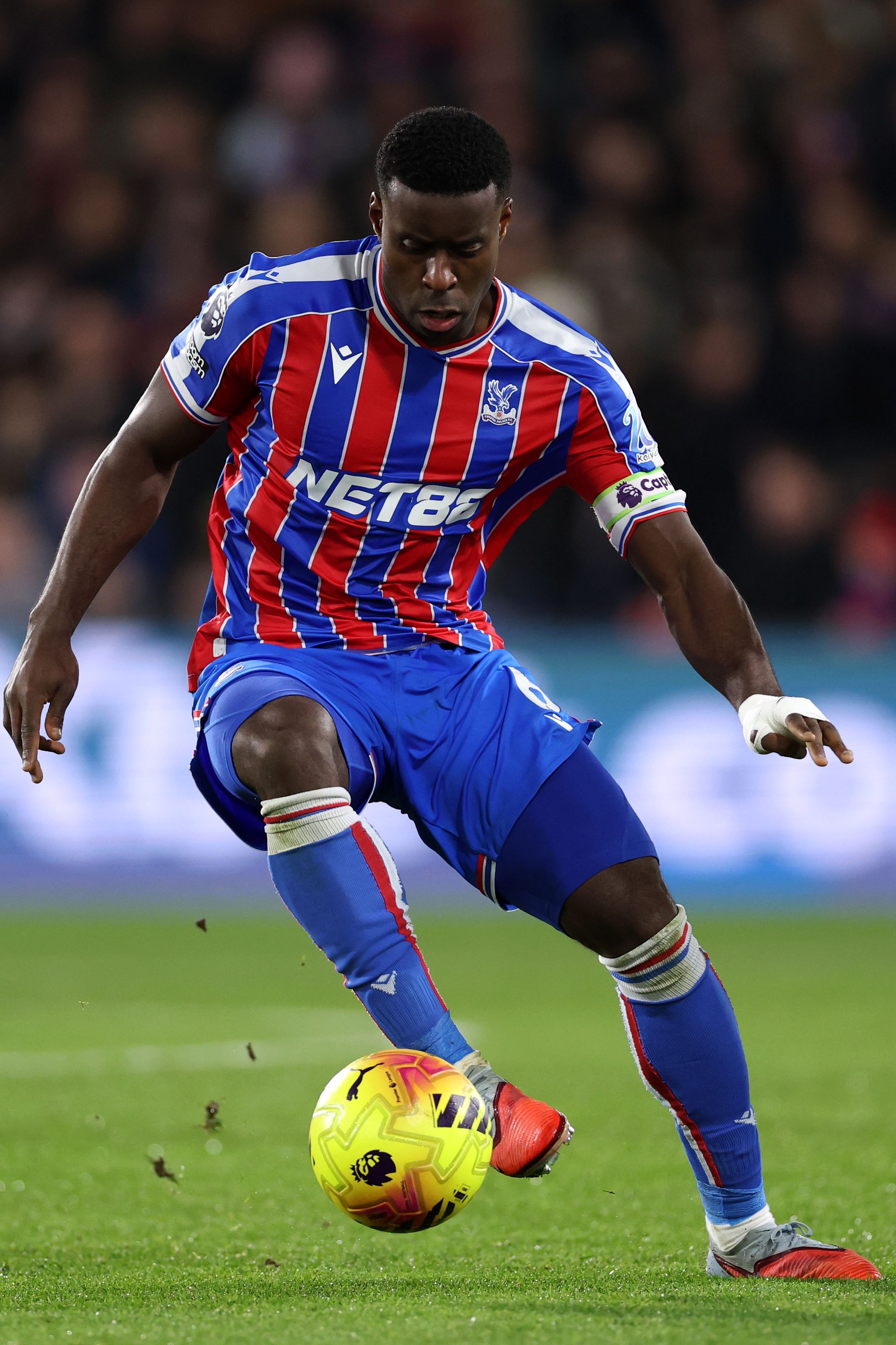Crystal Palace v Tottenham Hotspur - Premier League