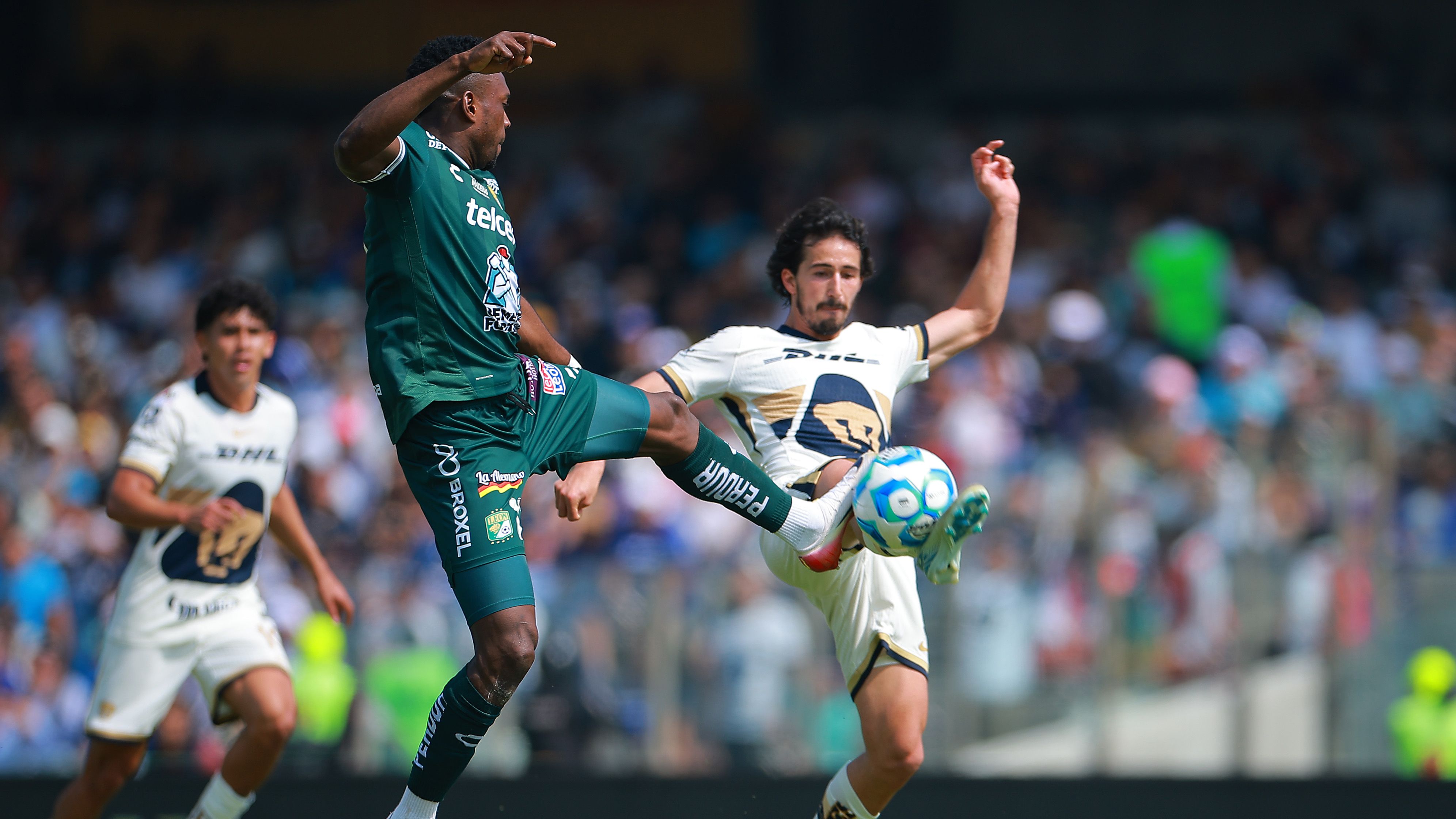 Stade de Salamanca Mexique attaque 11 morts Guanajuato