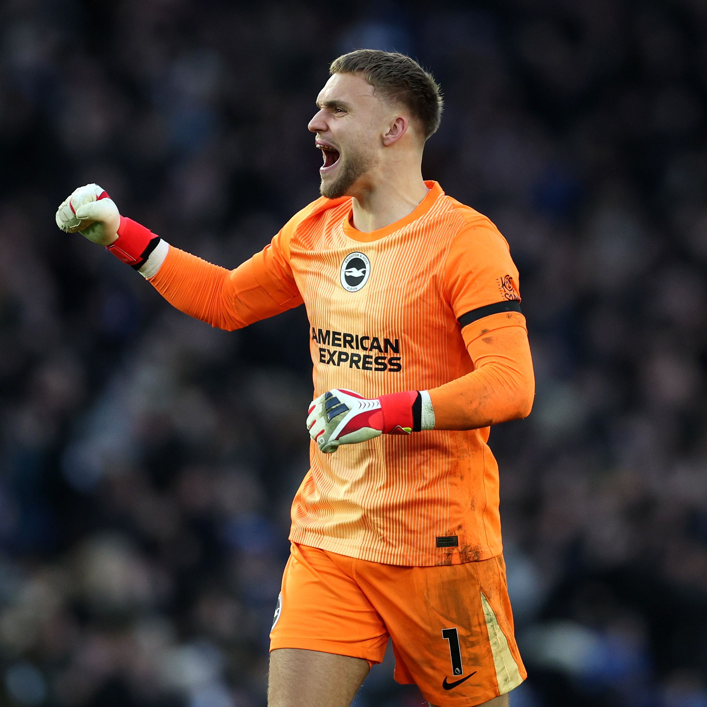 Brighton & Hove Albion v Everton - Premier League