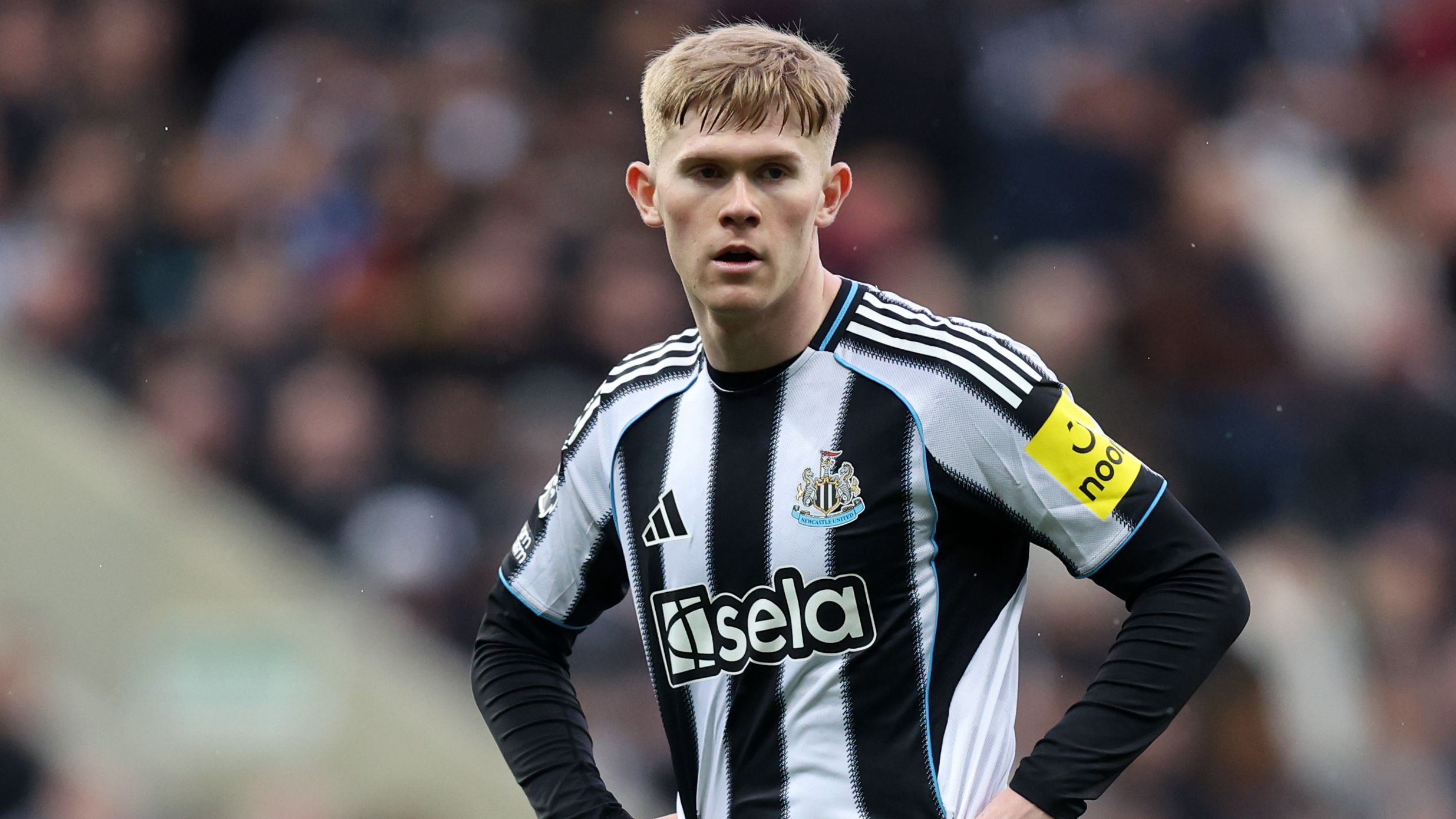 Newcastle United v Everton - Premier League
