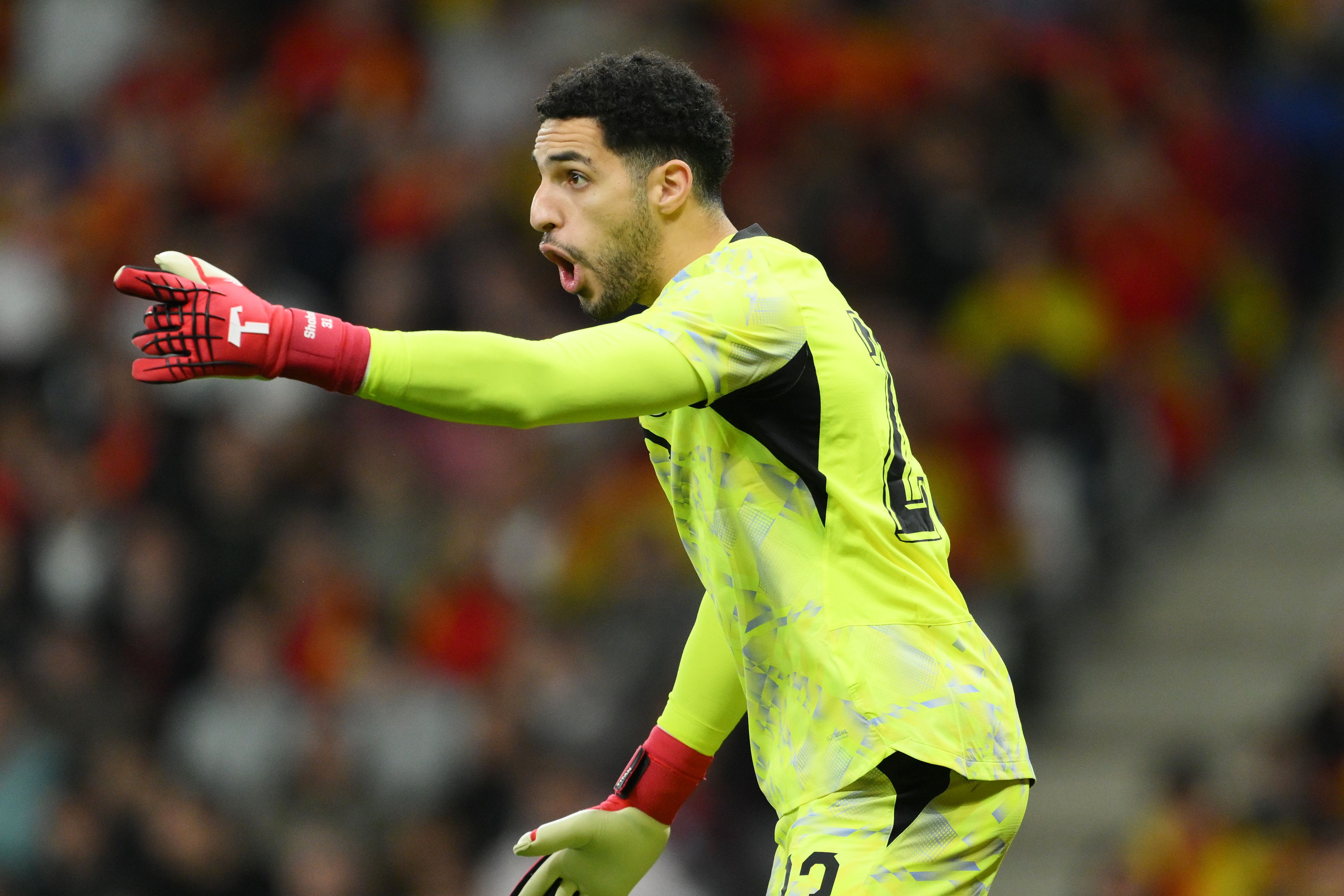 Spain v Egypt - International Friendly