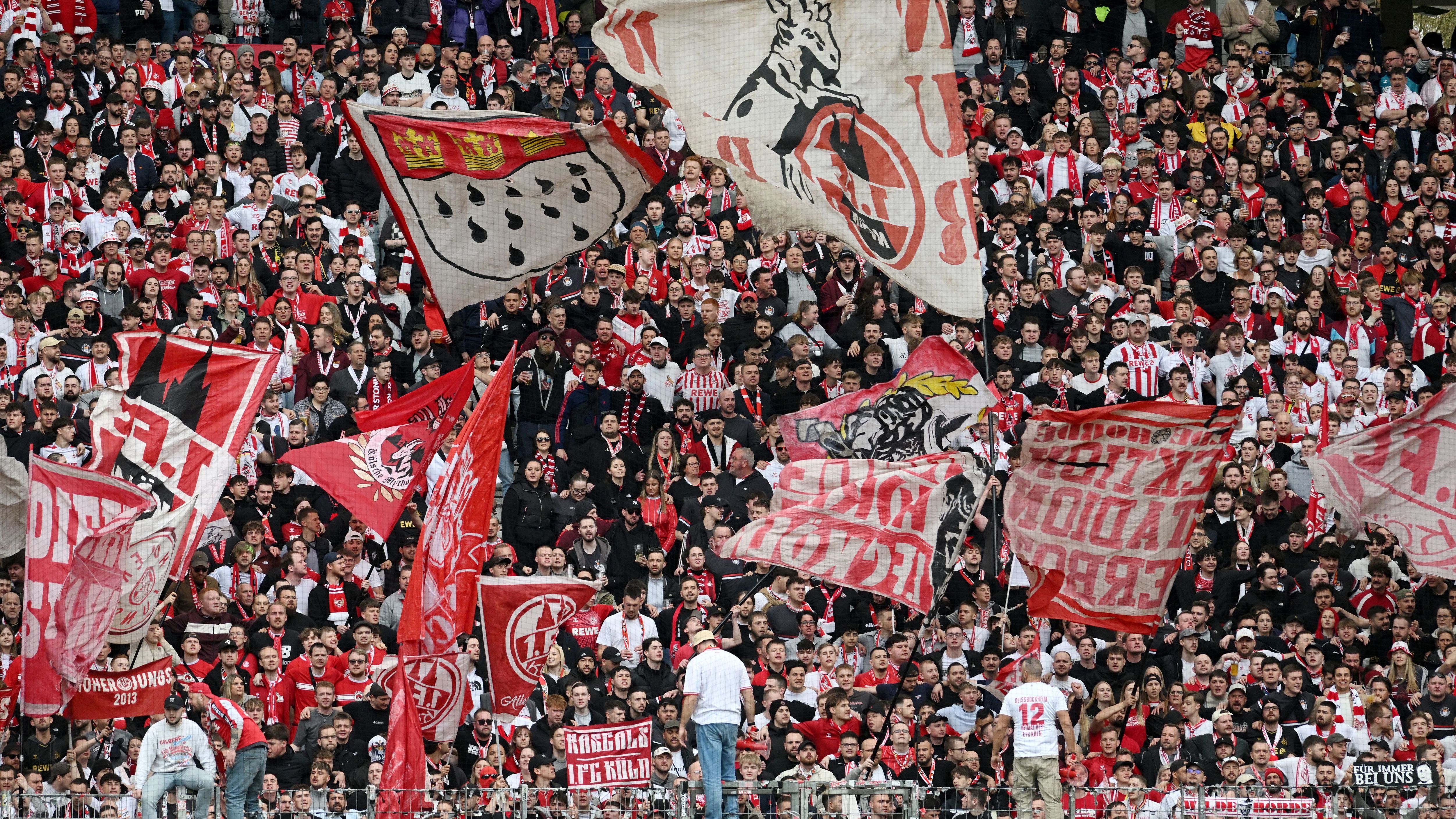 Eintracht Frankfurt v 1. FC Köln - Bundesliga