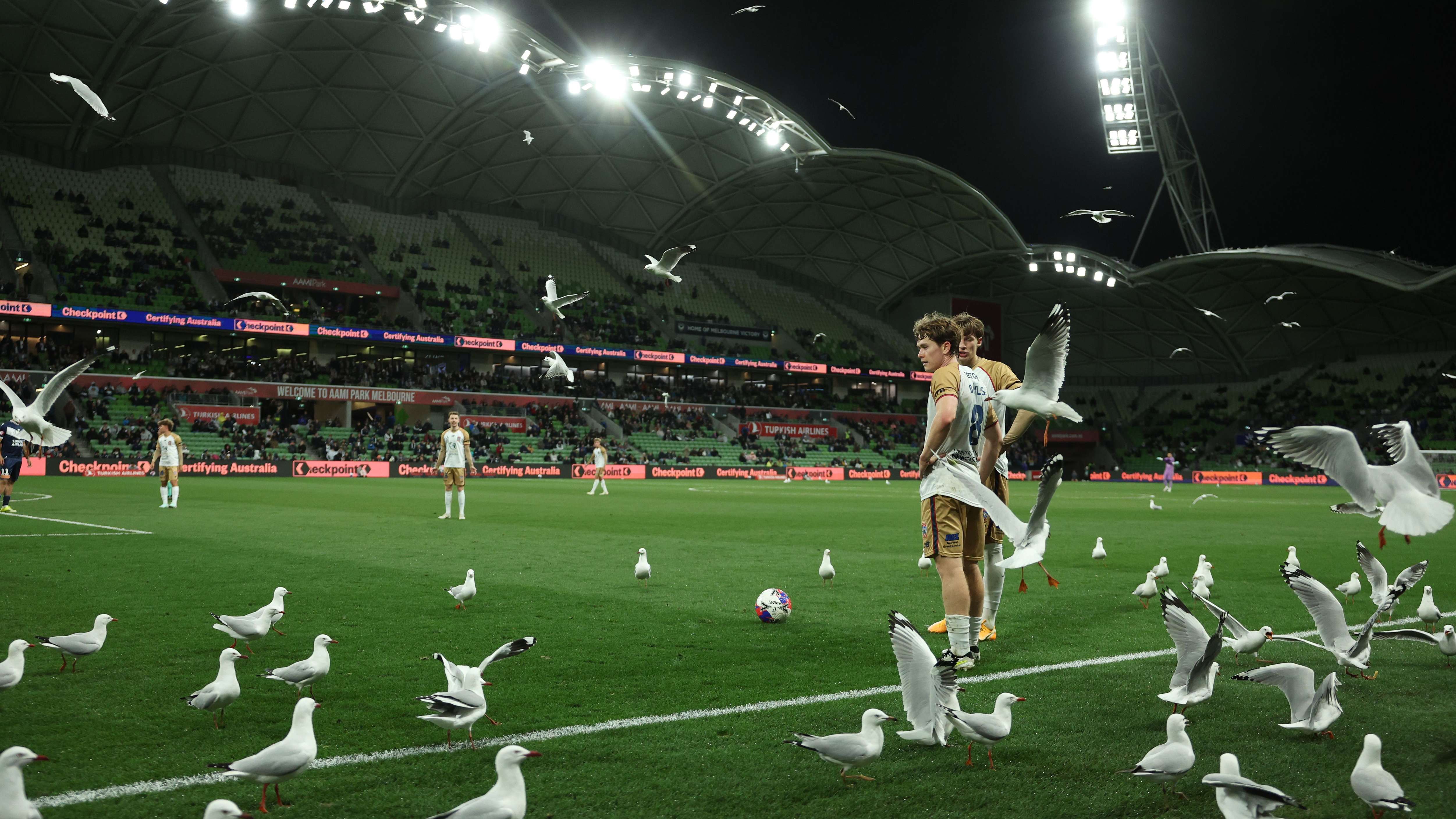 A-League Men Rd 25 - Melbourne Victory v Newcastle Jets