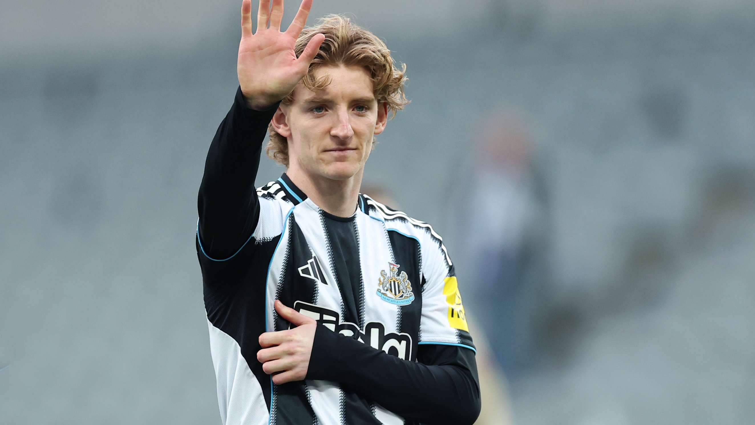 Newcastle United v West Ham United - Premier League