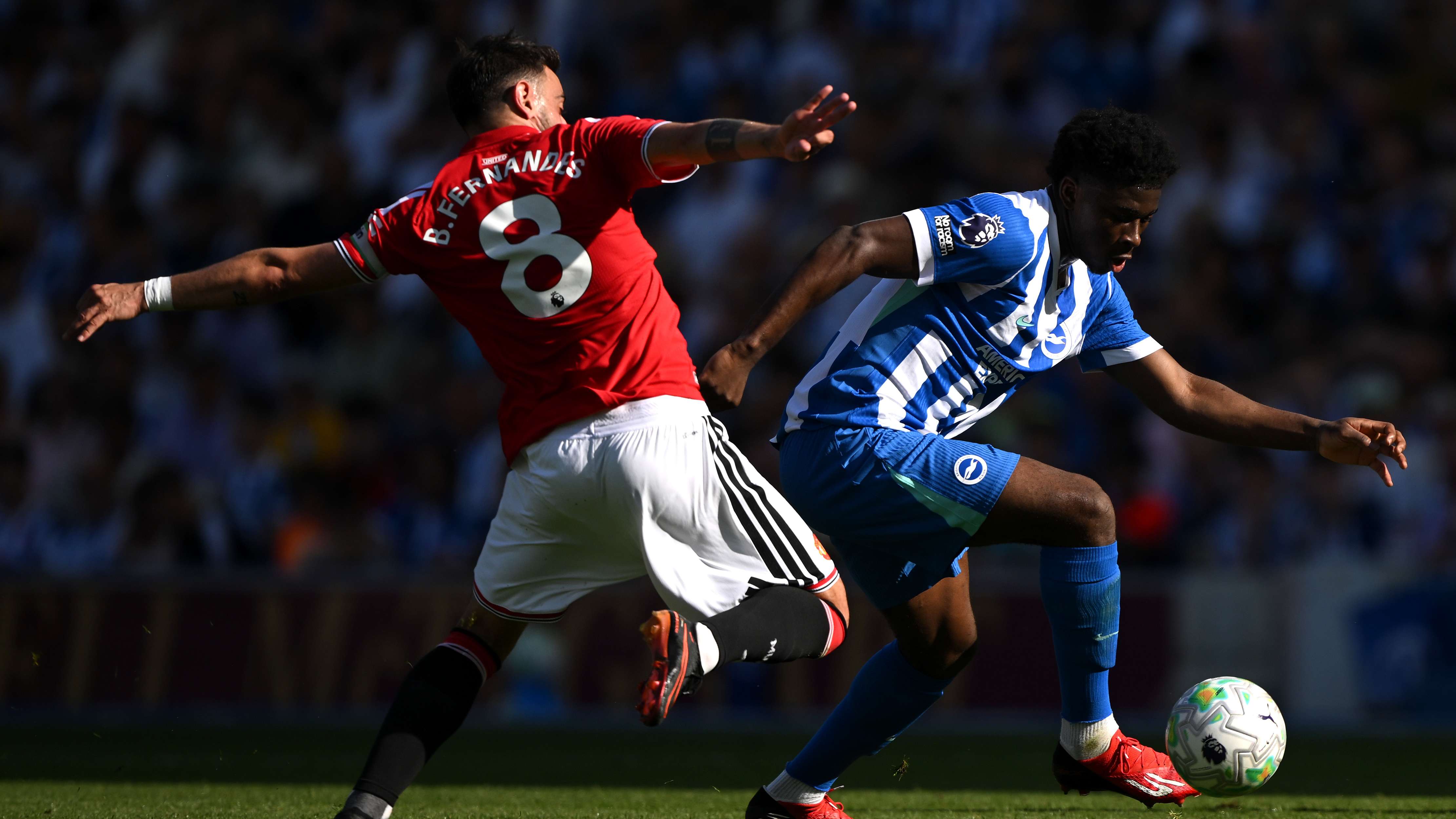 Brighton & Hove Albion v Manchester United - Premier League