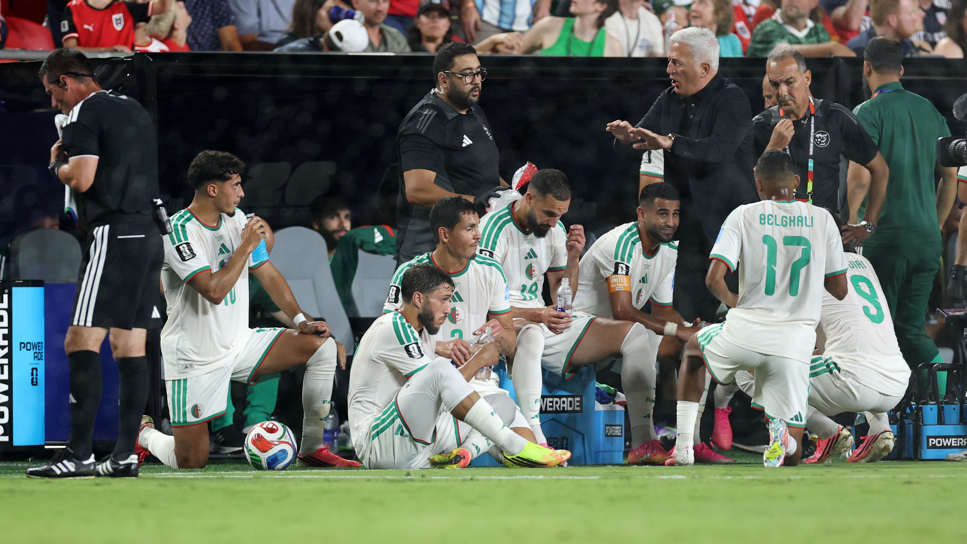 الماضي لا يرحم الجزائر.. وبيتكوفيتش يعيد سيناريو كيروش