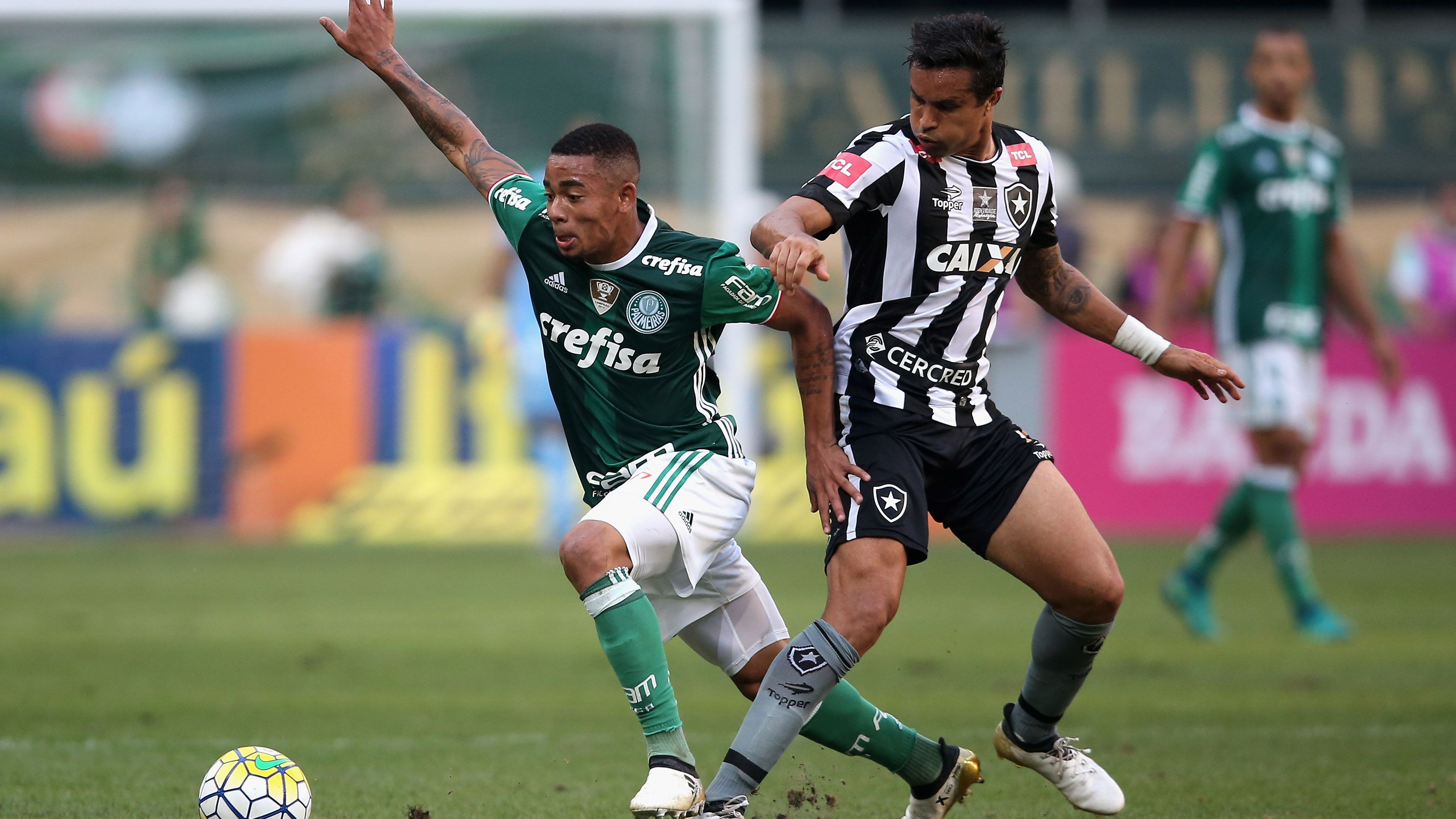 Palmeiras v Botafogo - Brasileirao Series A 2016