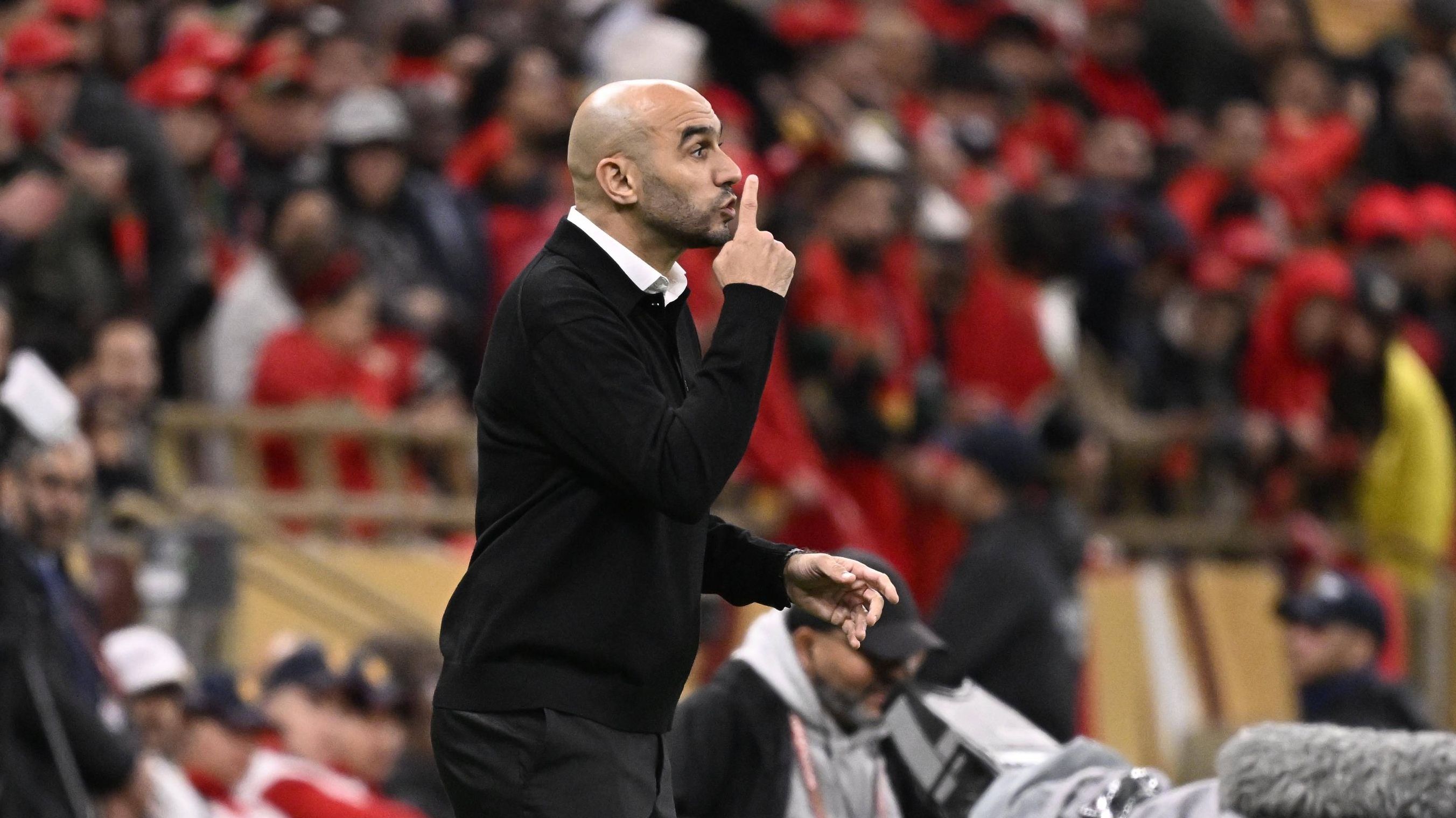 الأسد المغربي لا يمانع.. منتخب لاتيني يتحرك نحو الركراكي