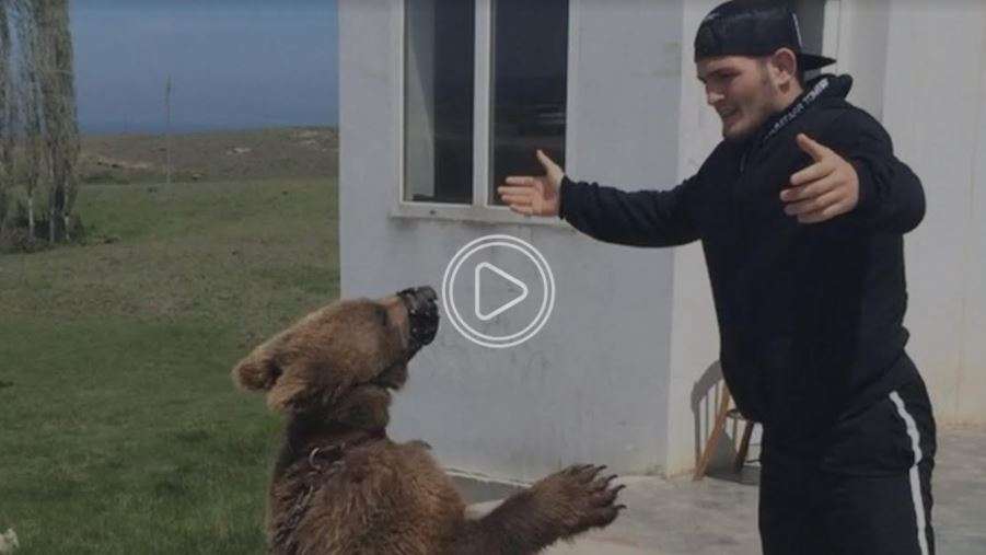 المصارع الروسي حبيب