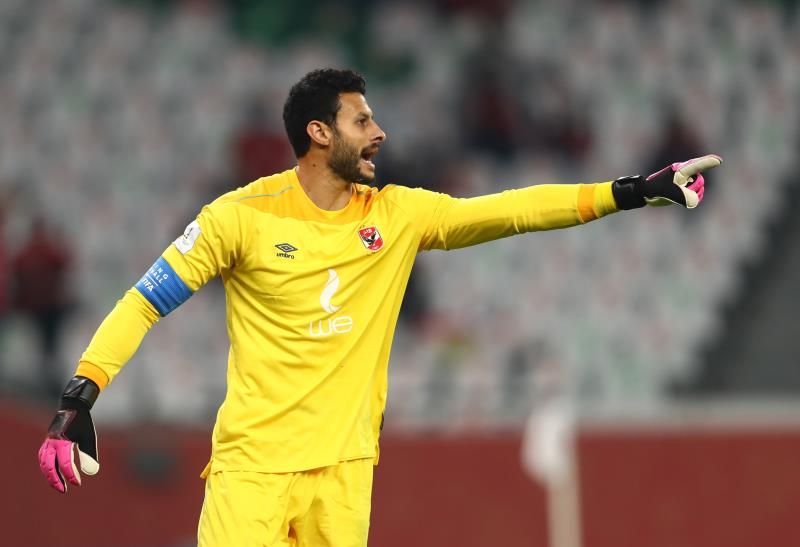 محمد الشناوي