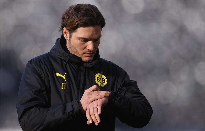 إيدين تيرزيتش