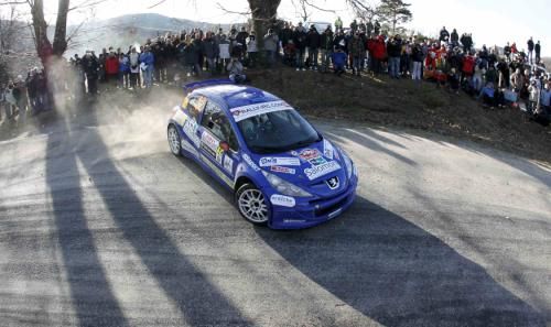 2011-01-192011-01-19t134616z_01_rpr19_rtridsp_3_france-rally-monte-carlo_reuters