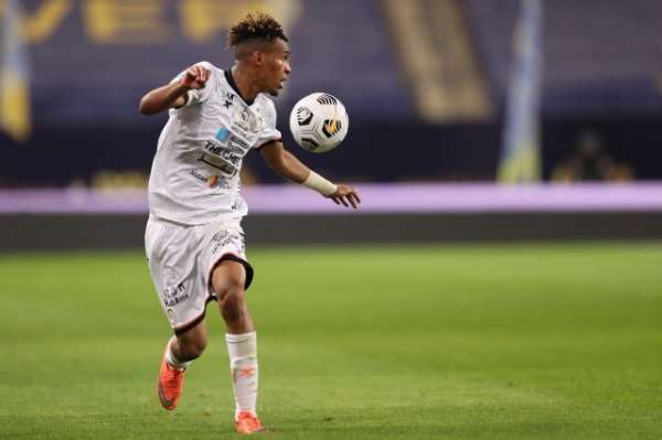 فواز الصقور