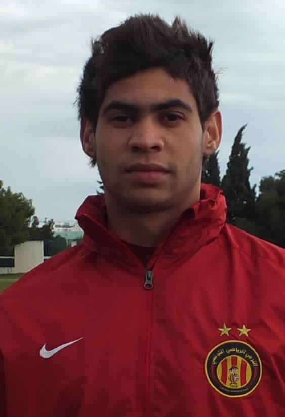 شمس الدين الذوادي