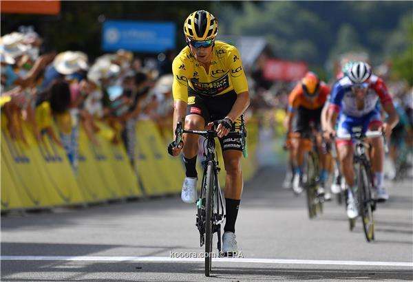 بريموش روجليتش 