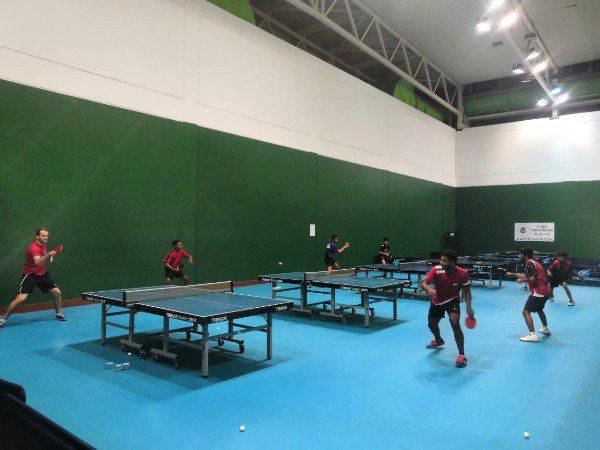 تنس الطاولة