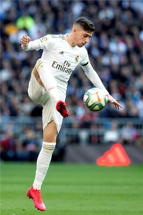 فيدي فالفيردي