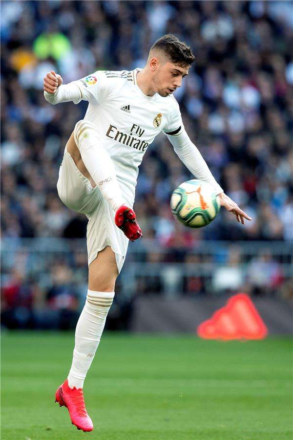 فيدي فالفيردي