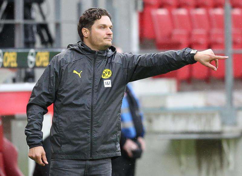 إيدين تيرزيتش