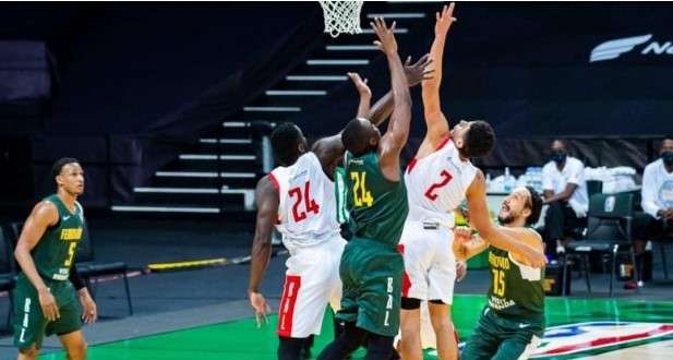 سلة الزمالك