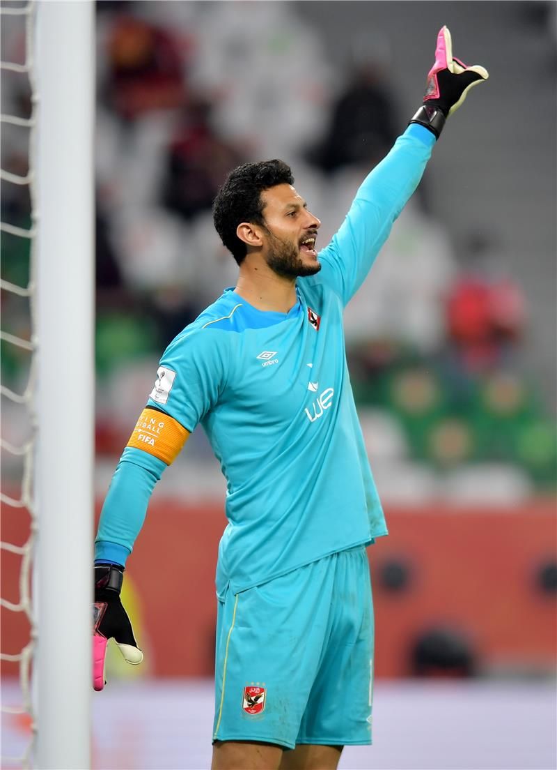 محمد الشناوي