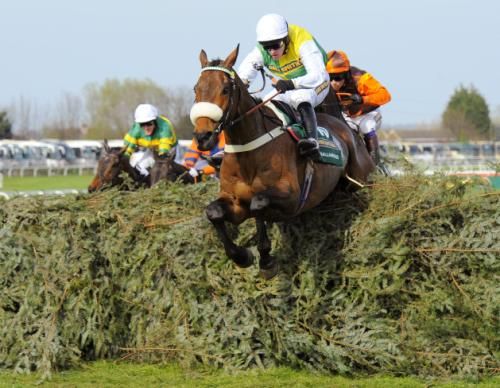 2011-04-092011-04-09t160805z_01_nvr03_rtridsp_3_horse-racing-national_reuters