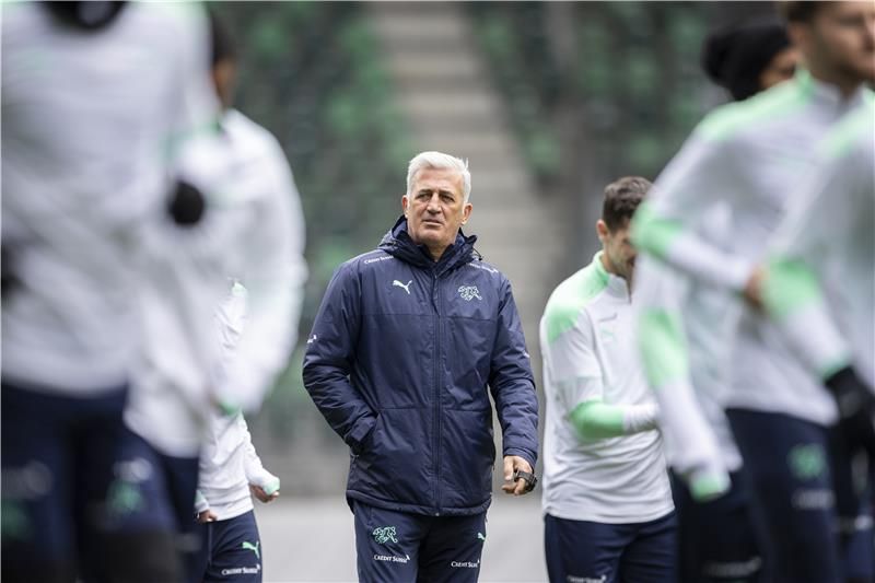 فلاديمير بيتكوفيتش 