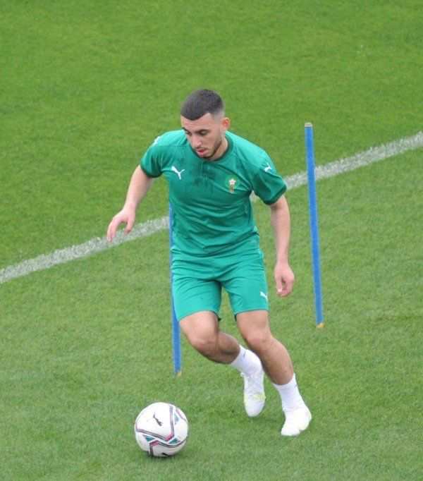 الياس الشاعر