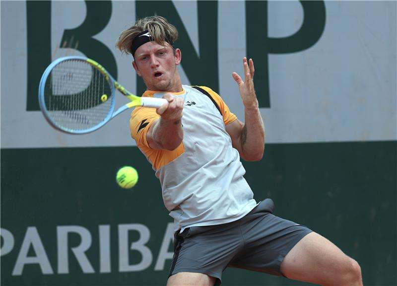 دافيدوفيتش 