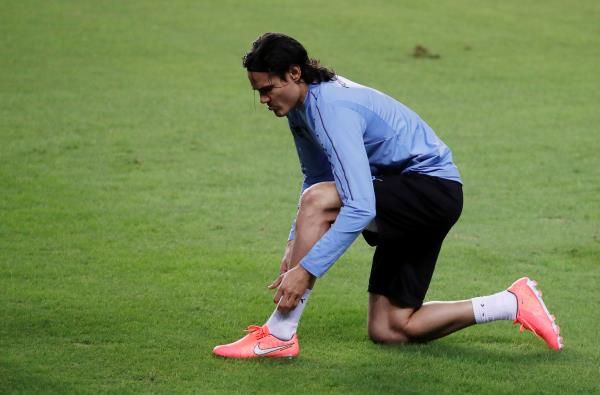 إدينسون كافاني