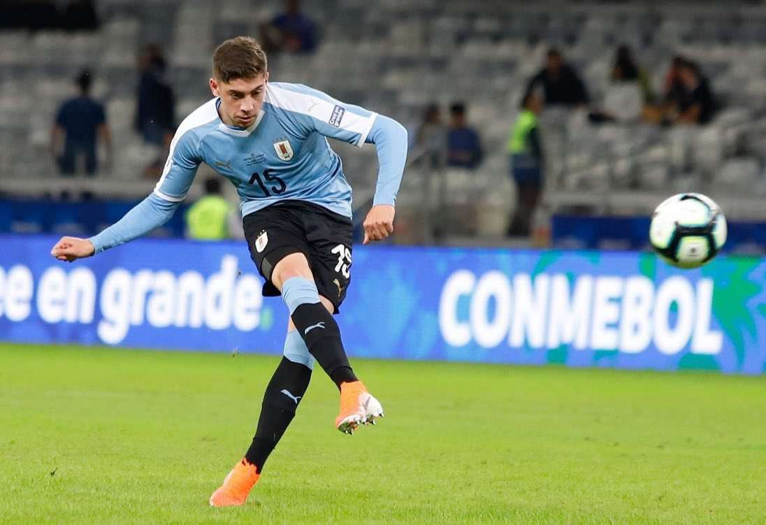 فيدي فالفيردي