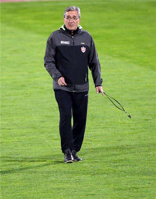 إيفانكوفيتش