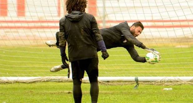 محمد أبو جبل