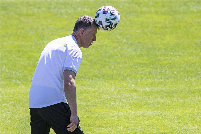  ياروسلاف شيلهافي