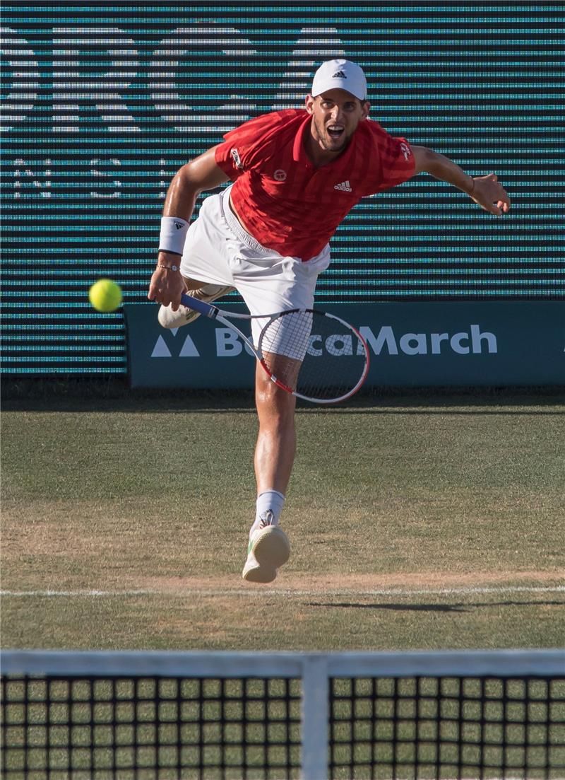 دومينيك ثيم