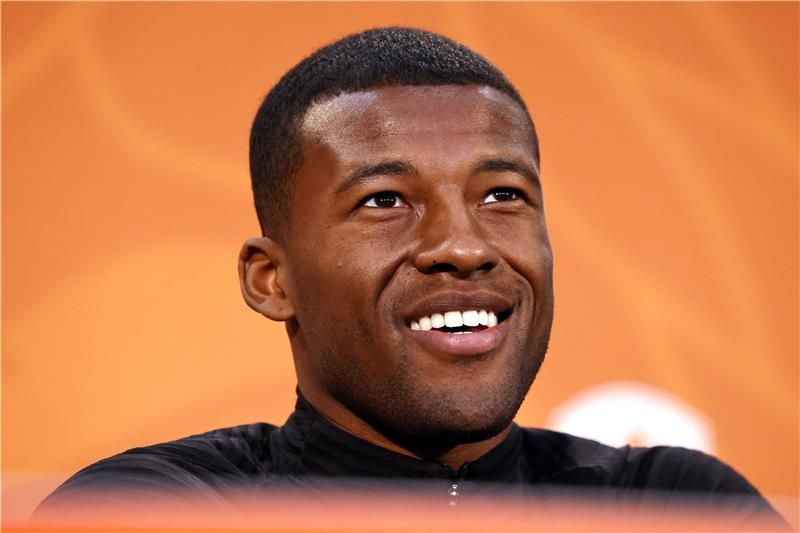 جورجينيو فينالدوم 