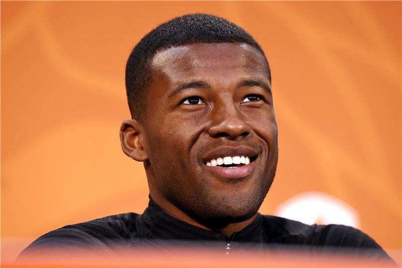 جورجينيو فينالدوم