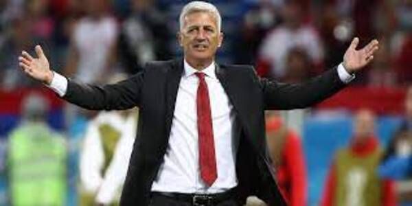 فلاديمير بيتكوفيتش