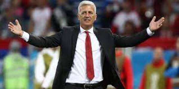 فلاديمير بيتكوفيتش