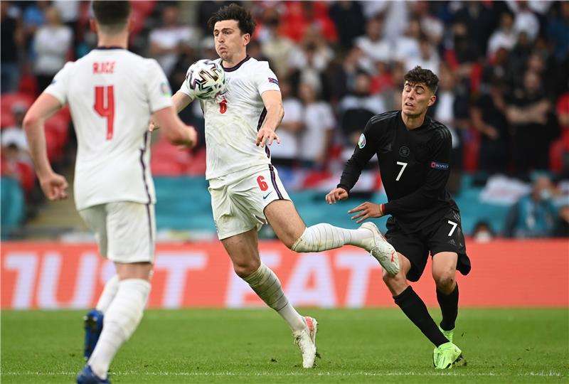 هاري ماجواير