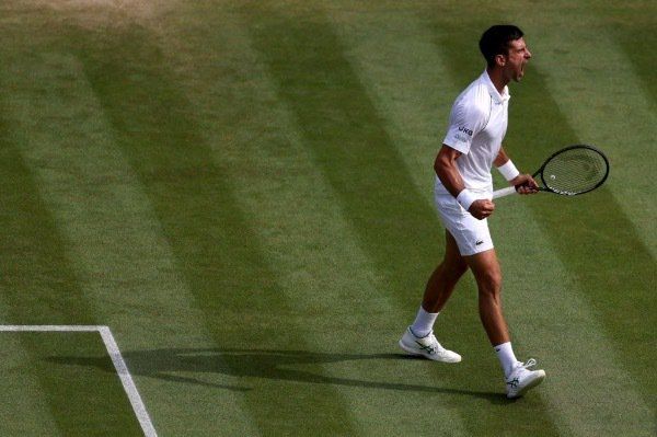 نوفاك ديوكوفيتش